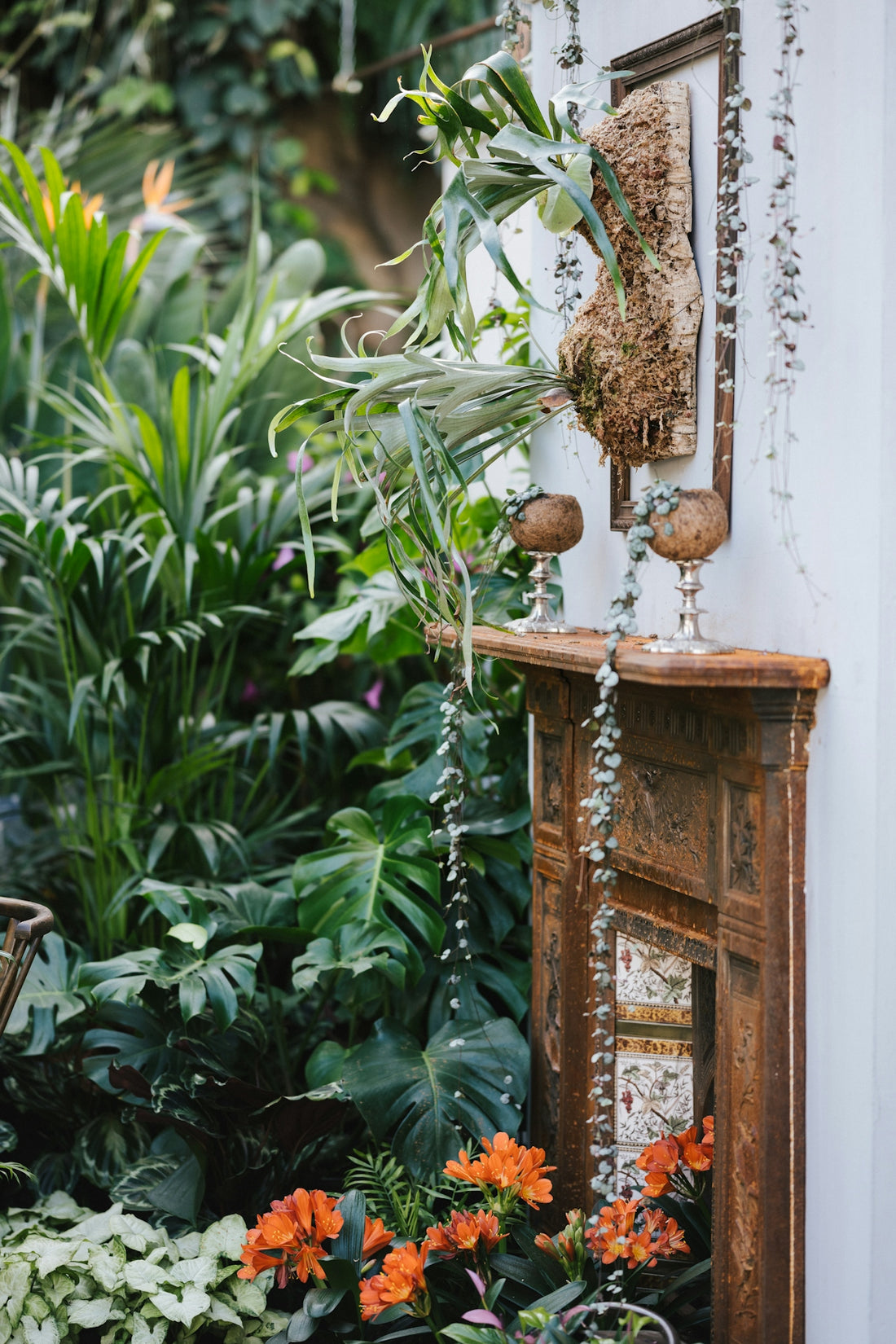brown wooden cross with green plants