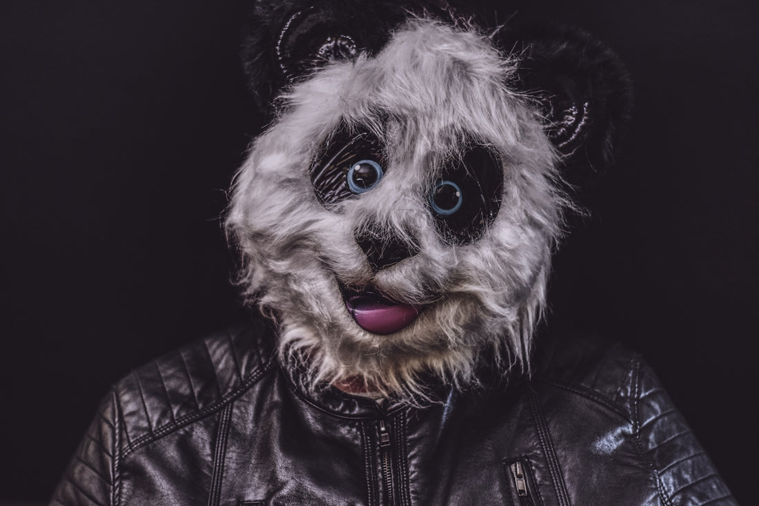 person in black leather jacket with white and gray dog face mask