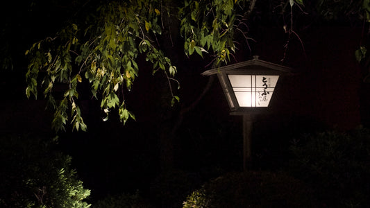 A japanese-style lantern glows in the dark garden.