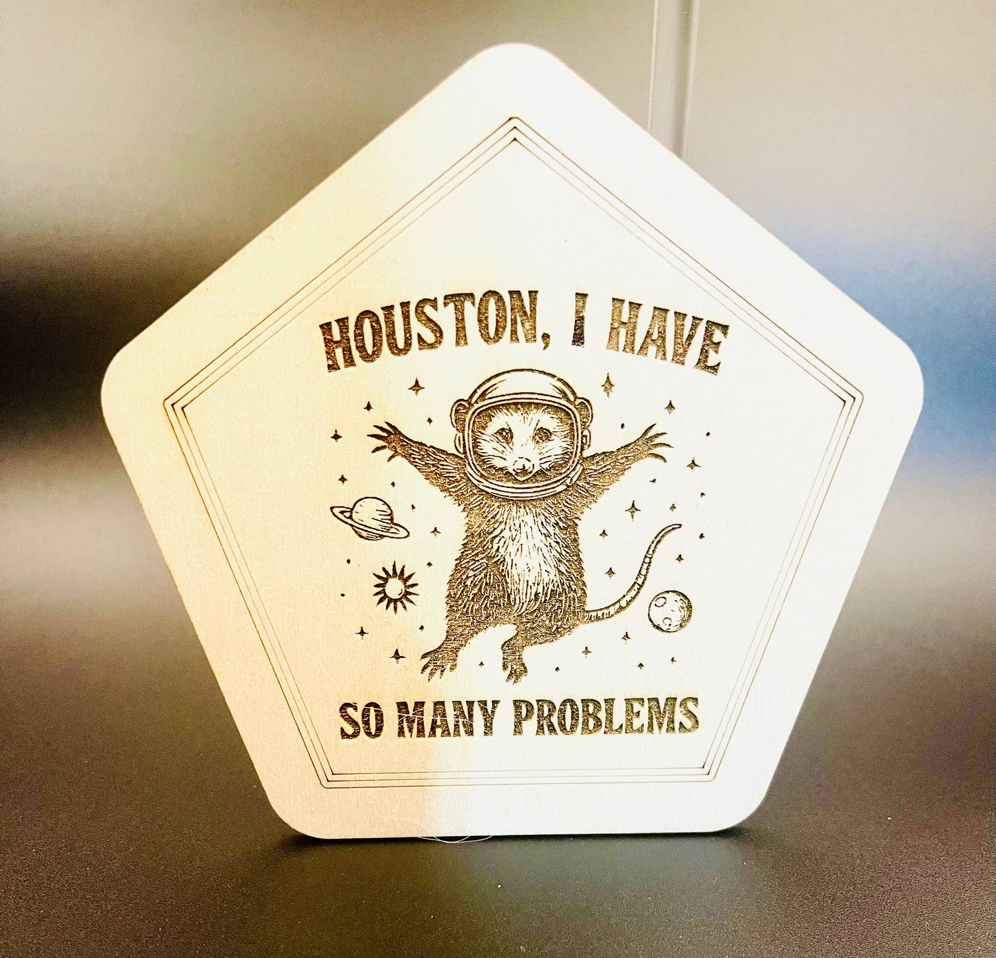 Houston, I Have So Many Problems - Space Possum Wall Art